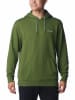 Columbia Hoodie "Marble Canyon™" in Grün