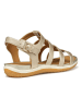 Geox Sandalen goudkleurig