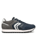 Geox Sneakers in Dunkelblau/ Anthrazit