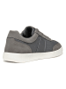 Geox Sneakers grijs