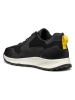 Geox Sneakers zwart