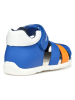 Geox Halbsandalen "Elthan" in Blau/ Orange
