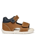 Geox Sandalen "Tapuz" in Hellbraun/ Dunkelblau