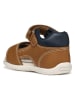 Geox Sandalen "Tapuz" in Hellbraun/ Dunkelblau