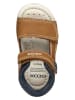 Geox Sandalen "Tapuz" lichtbruin/donkerblauw
