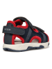Geox Sandalen "Multy" in Dunkelblau/ Rot