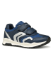 Geox Sneakers "Pavel" in Dunkelblau