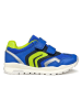 Geox Sneakers "Pavel" in Blau/ Grün