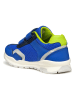 Geox Sneakers "Pavel" in Blau/ Grün