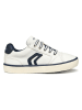 Geox Sneakers "Gisli" in Weiß/ Schwarz