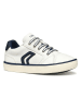 Geox Sneakers "Gisli" in Weiß/ Schwarz