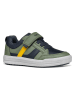 Geox Sneakers "Arzach" in Grün/ Dunkelblau