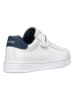 Geox Sneakers "DJRock" in Weiß/ Dunkelblau