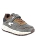 Primigi Sneakers in Grau
