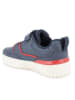 Primigi Sneakers in Dunkelblau