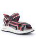 Primigi Sandalen in Dunkelblau/ Rot