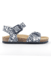 Primigi Sandalen donkerblauw/wit