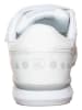 Eisbär Sneakers in Weiß
