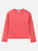 Coccodrillo Sweatshirt in Rot