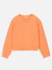 Coccodrillo Sweatshirt in Orange