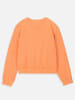 Coccodrillo Sweatshirt in Orange