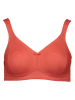 SUSA Minimizer-beha terracotta