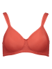 SUSA Schalen-BH in Terracotta