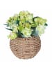 Villa d´Este Kunstpflanze "Hydrangea" in Grün/ Hellbraun - (H)20 cm