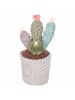 Villa d´Este 6-delige set: decoratieve objecten "Cactus" wit/beige/groen