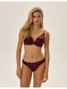 ESOTIQ Bügel-BH "Olyvia" in Aubergine