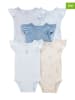 carter's 5er-Set: Bodys in Hellblau/ Beige