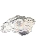 LEONARDO Muschelschale "Poesia" - (L)38 x (B)29 cm