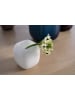 LEONARDO Vase "Milano" in Weiß - (B)9 x (H)9,3 cm