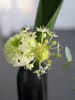 LEONARDO Vase "Milano" in Grau - (B)9 x (H)21 cm