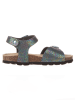 BIO PINGÜIN Sandalen zwart/meerkleurig
