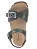 BIO PINGÜIN Sandalen zwart/meerkleurig