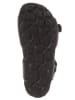 BIO PINGÜIN Sandalen zwart/meerkleurig