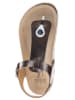 BIO PINGÜIN Sandalen in Braun