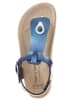 BIO PINGÜIN Sandalen blauw