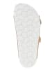 BIO PINGÜIN Slippers goudkleurig