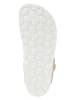 BIO PINGÜIN Teenslippers goudkleurig