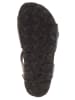 BIO PINGÜIN Sandalen in Schwarz/ Bunt