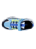 Richter Shoes Sneakers "Jamie" in Bunt