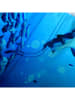 Peek U Zwemshorts "Laguna" blauw/wit