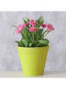 Boltze 2er-Set: Übertöpfe "Giardino" in Grün - (H)13,5  Ø 15 cm