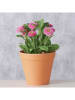 Boltze 2er-Set: Übertöpfe "Giardino" in Orange - (H)13,5  Ø 15 cm