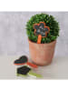 Boltze 3-delige set: plantenlabels "Bilje" oranje/groen/rood - (H)15 cm