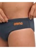 Arena Badehose in Anthrazit