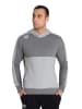 Arena Hoodie in Grau