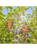 Gardena Gartenschere "Premium Cut Pro Flex" in Grau